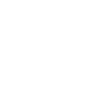 Logo White